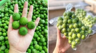 Cách bảo quản sấu tươi cả năm vẫn chua ngon tự nhiên