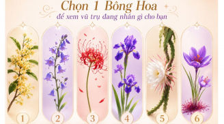 Chọn bông hoa yêu thích nhất để xem vũ trụ đang gửi tới bạn lời nhắn gì