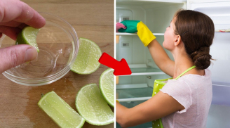 Tại sao bạn nên vắt chanh vào tủ lạnh?