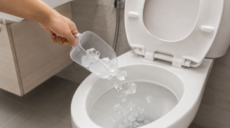 Vì sao nhiều nhân viên nhà hàng, khách sạn lại đổ đá lạnh vào bồn cầu?