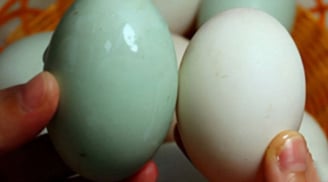 Trứng vịt nên chọn quả vỏ trắng hay vỏ xanh thì ngon hơn?