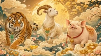 3 con giáp sống hiền lương được Trời thương Phật độ