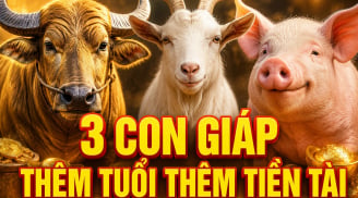 Tích phúc đức về già: 3 con giáp thêm tuổi thêm Tiền Tài