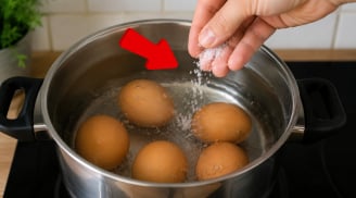 Tại sao bạn nên thả vài hạt muối vào nồi luộc trứng?