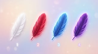 Chọn 1 chiếc lông vũ, khám phá sức mạnh tiềm ẩn mà chính bạn chưa nhận ra