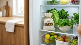 Nhiều người vứt bỏ hạt chanh mà không biết chúng có thể giúp ích trong nhà bếp