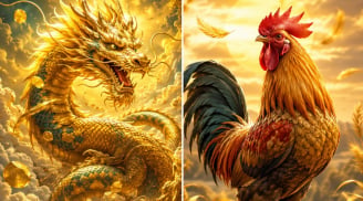  Thứ Năm, Thứ Sáu (25-26/6): 2 con giáp ra đường thấy vàng, gặp cơ hội tốt, 1 tuổi lọt tầm ngắm thăng chức