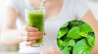 Rau diếp cá có thực sự tốt cho da mụn? Những công dụng và lưu ý cần biết khi sử dụng
