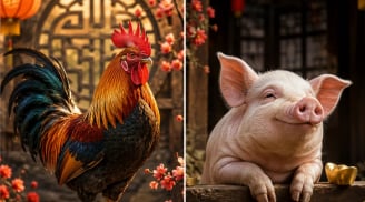 Thứ Sáu, Thứ Bảy, Chủ nhật (26-28/6): 2 con giáp được quý nhân giúp sức, 1 tuổi cẩn thận cả tin