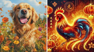 Từ 26/6 đến 30/6: 3 tuổi quý nhân che chở, lương thưởng bật tăng
