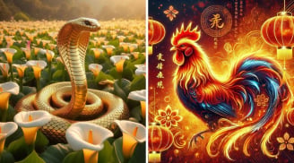 3 con giáp vượng phu ích tử: Lấy được là trúng mỏ vàng, đàn ông đổi đời trong chớp mắt!