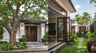 Vì sao người xưa dặn: Trước nhà không trồng cây lớn, sau nhà không mở cửa rộng