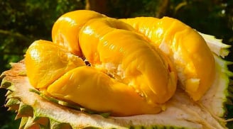 Người mắc 1 trong 5 bệnh này tuyệt đối đừng ăn sầu riêng