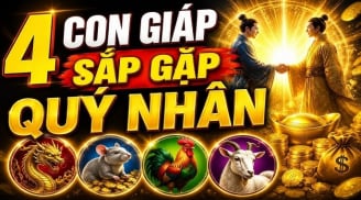 Đi chậm mà chắc, 4 con giáp Quý Nhân đến muộn sau tuổi 45