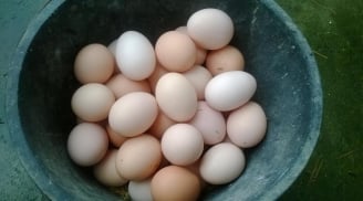 Người mắc 1 trong 5 bệnh này nên hạn chế ăn trứng gà, càng ăn càng hại