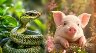Từ 1-10/7: 2 con giáp cần chú ý sức khỏe, 1 tuổi lơ là 1 phút cũng giảm uy tín nhiều năm