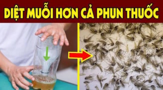 Trộn bột giặt với bia có công dụng gì?