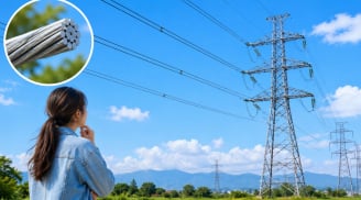 Vì sao dây điện trên cao không bọc nhựa?