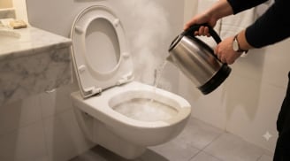 Tại sao bạn nên đun nước sôi đổ vào bồn cầu khách sạn?
