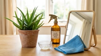 Cây nha đam không chỉ để làm đẹp: 7 công dụng trong nhà nhiều người chưa tận dụng