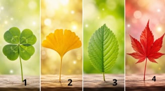 Chọn 1 chiếc lá cỏ may mắn để xem vận khí của bạn đang lên hay xuống