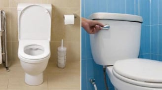 Khi không sử dụng bồn cầu, nên đóng hay mở nắp?