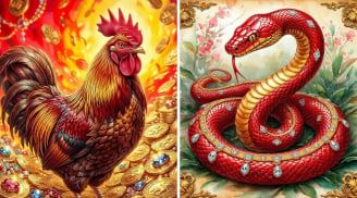 Top 3 tuổi Trúng Số Độc Đắc, Danh Tiếng Lẫy Lừng từ 4/7 đến 14/7