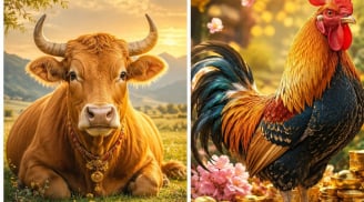Từ 3-23/7: 3 con giáp càng chăm chỉ càng dễ đổi vận, tài lộc và cơ hội cùng xuất hiện