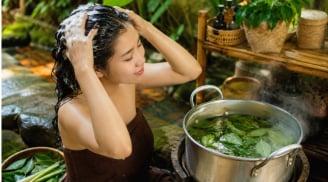 3 loại lá cây dễ tìm giúp gội đầu sạch gàu, tóc mềm mượt, kích thích tóc con mọc tua tủa