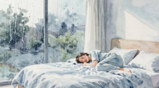 Tại sao người ta dễ buồn ngủ, muốn nghỉ làm ở nhà khi trời mưa?
