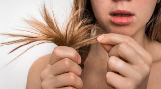 Tóc vẫn khô xơ dù dùng dầu gội đắt tiền? Có thể bạn đang mắc những thói quen này