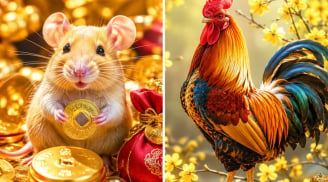 Chủ nhật 5/7: Thần may mắn gõ cửa, 2 con giáp có tiền bất ngờ, 1 con giáp đỏ rực đường tình cảm