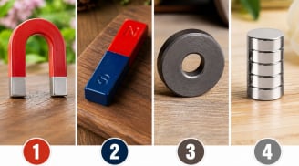 Chọn 1 viên nam châm: Sức hút lớn nhất của bạn đến từ đâu?