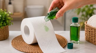 Nhỏ vài giọt dầu gió vào cuộn giấy vệ sinh, công dụng bất ngờ không phải ai cũng biết