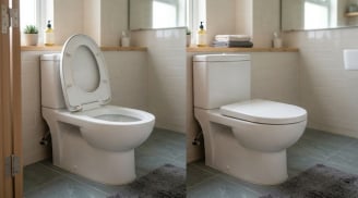 Sau khi đi vệ sinh, nên đóng hay mở nắp bồn cầu?