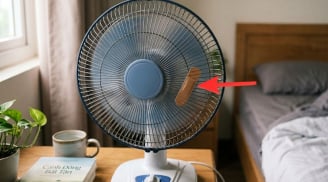 Tại sao nên dán miếng urgo trước quạt?