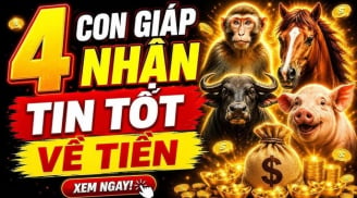 Thứ Hai, Thứ Ba đầu tuần (6/7-8/7), 4 tuổi lương thưởng đua nhau về