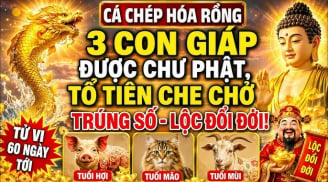 3 con giáp thoát nạn hóa Rồng, chư Phật độ cho từ 7/7 đến 13/7