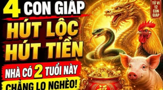 Gia Tiên Độ Lộc, 4 con giáp cứ thế nhận phúc hưởng phần