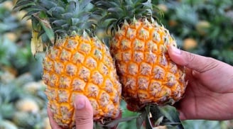 Tại sao phụ nữ nên thường xuyên ăn dứa?