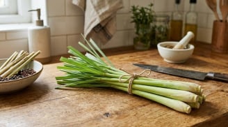 Cách bảo quản sả tươi, để cả năm vẫn thơm như mới mua