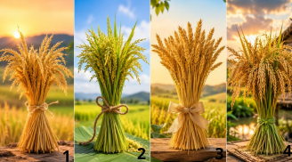 Chọn 1 bó lúa bạn ấn tượng nhất: Con đường phía trước của bạn là khó khăn hay cơ hội?