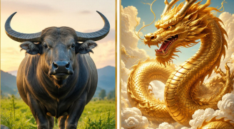 Hơn nhau ở hậu vận: 3 con giáp thời trẻ nhiều chông gai, càng về già càng giàu phúc lộc
