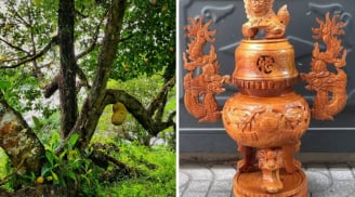 Tại sao đồ thờ hay được làm từ gỗ mít?