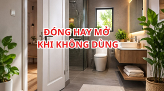 Nhiều người vẫn làm sai: Cửa nhà vệ sinh khi không dùng thì nên đóng hay mở?