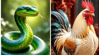 Thứ Năm, Thứ Sáu (9-10/7): 2 con giáp bất ngờ bật lên nhờ sáng kiến hay, 1 tuổi đón cơ hội kiếm bộn tiền