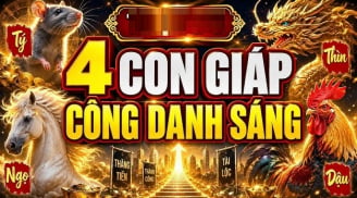 4 tuổi Bật Lên đón sóng Tiền tài từ tháng 8/2026