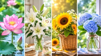 Chọn 1 bông hoa bạn thích nhất để khám phá điểm yếu lớn nhất mà bạn chưa dám đối diện