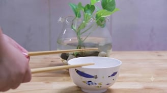 Tại sao người xưa cấm kỵ việc gõ đũa vào bát khi ăn?