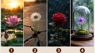 Bạn chọn bông hoa nào? Lựa chọn đầu tiên sẽ tiết lộ bản lĩnh nổi bật nhất của bạn